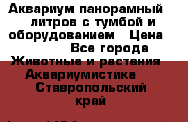 Аквариум панорамный 60 литров с тумбой и оборудованием › Цена ­ 6 000 - Все города Животные и растения » Аквариумистика   . Ставропольский край